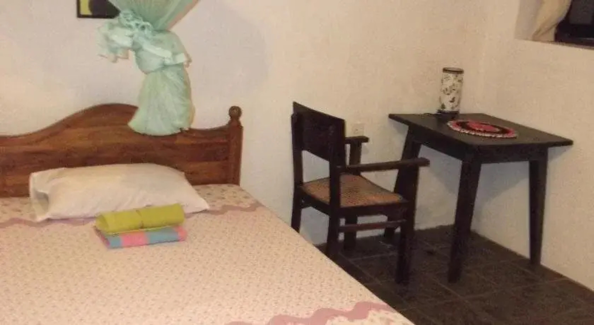 Shoba Traveller's Tree - Galle Fort