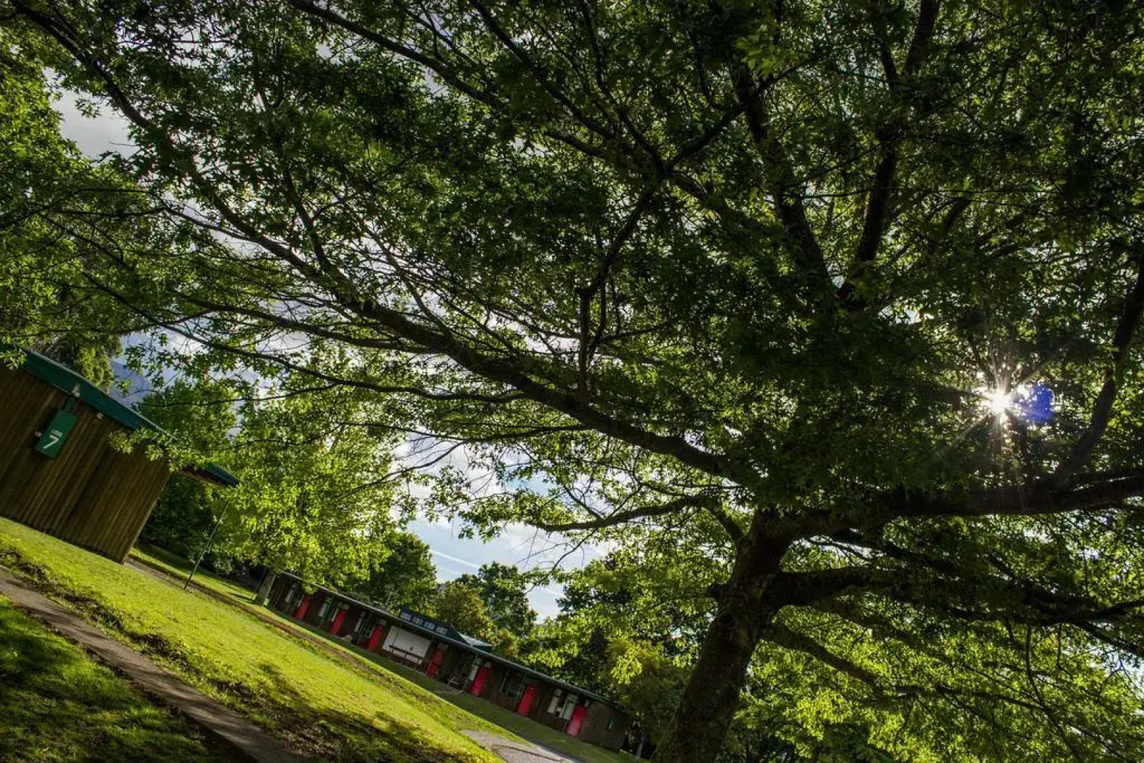 Tongariro Junction Motel