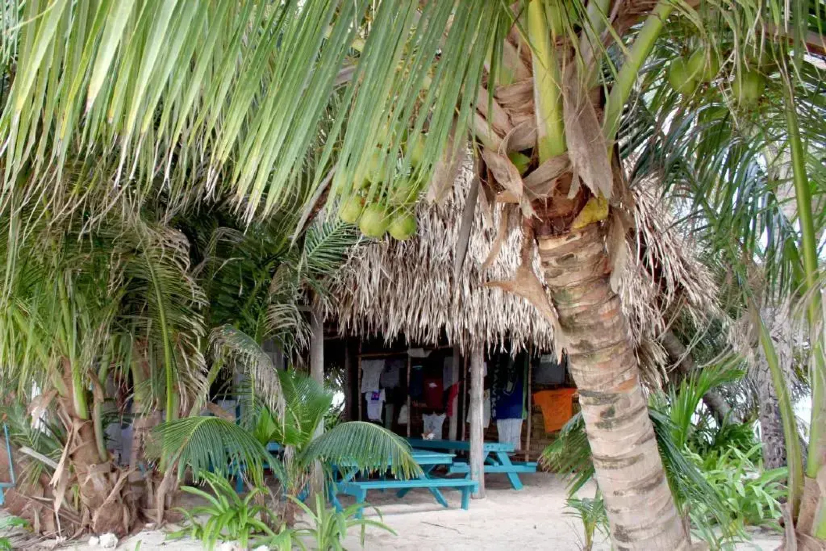 Ranguana Caye, a Muy’Ono Resort