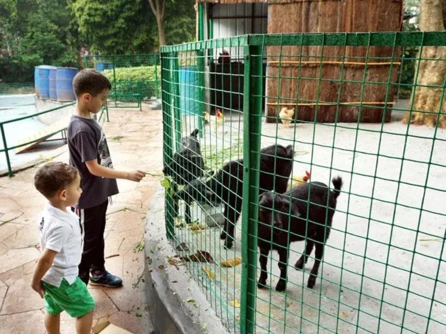 Clifford Golden Lake Hotel