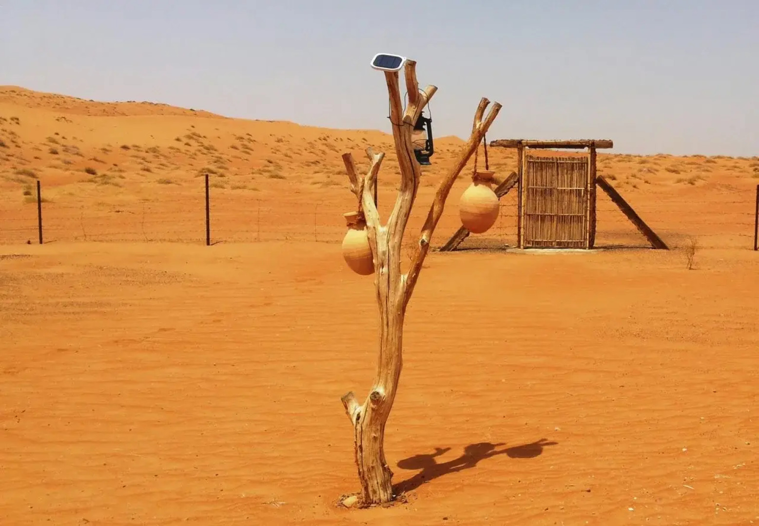 Sand Delight Desert Camp