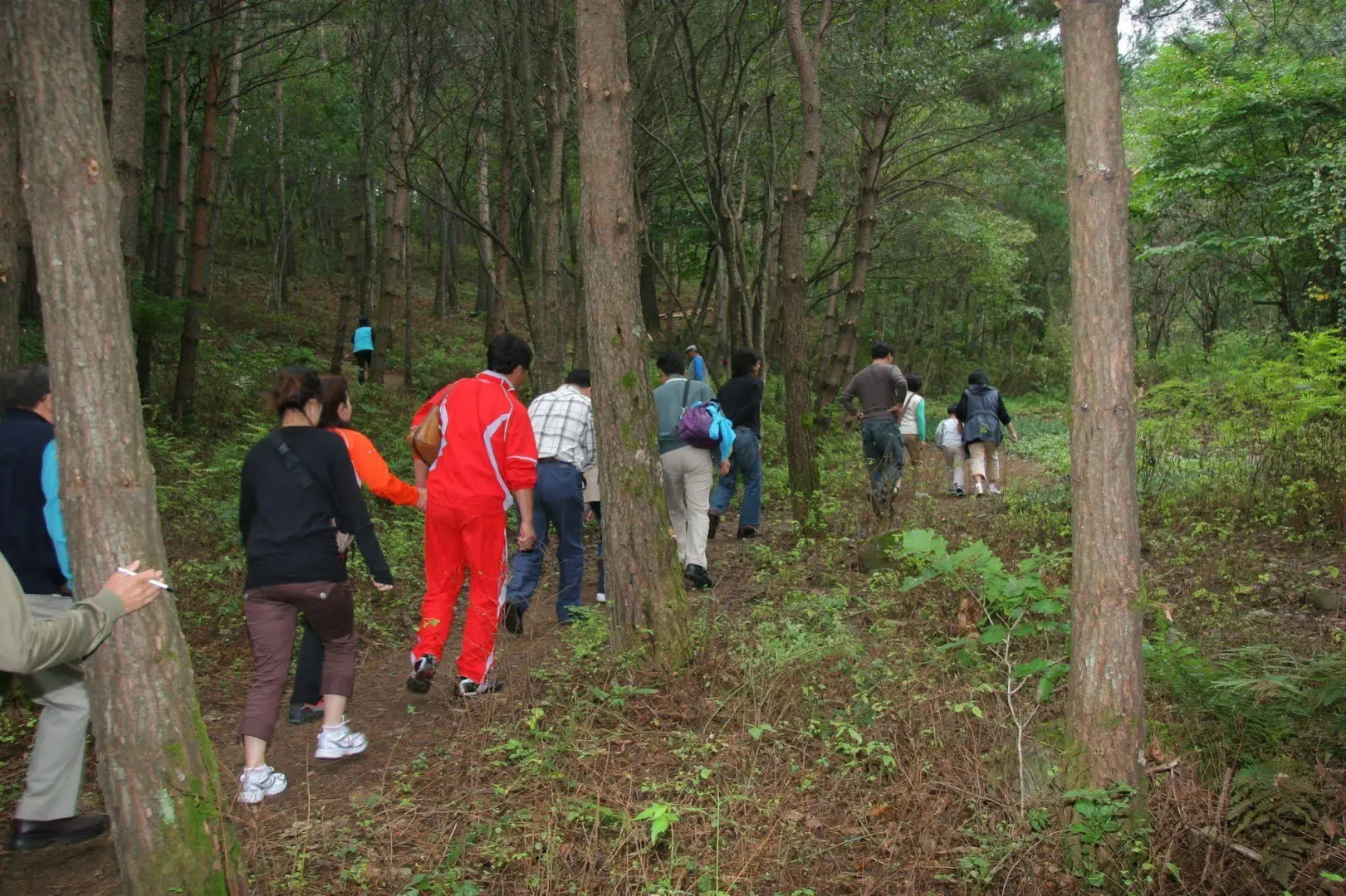 Yongpyong Resort Villa Condominium