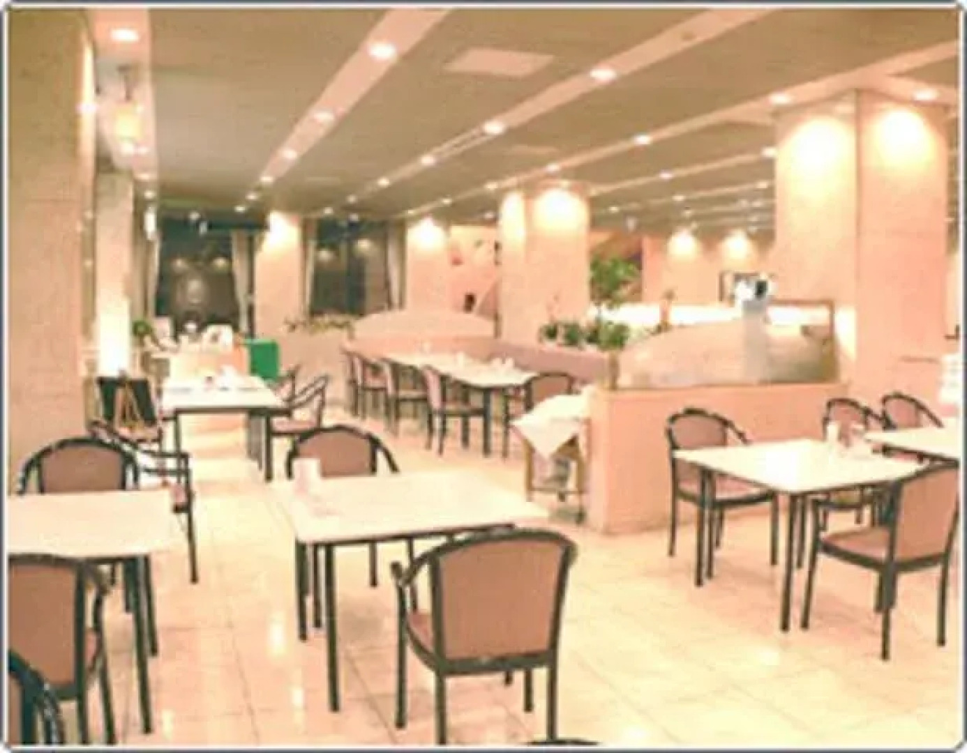 Tsuyama Kokusai Hotel