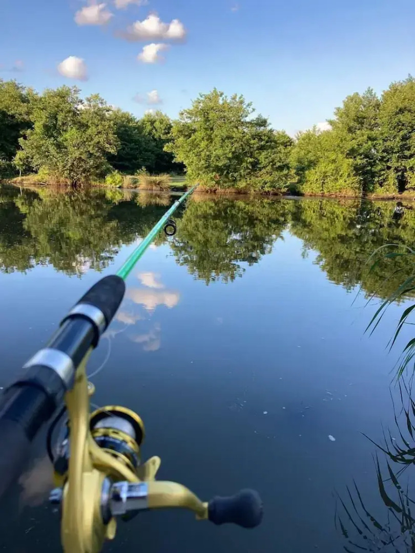 Отель Green House