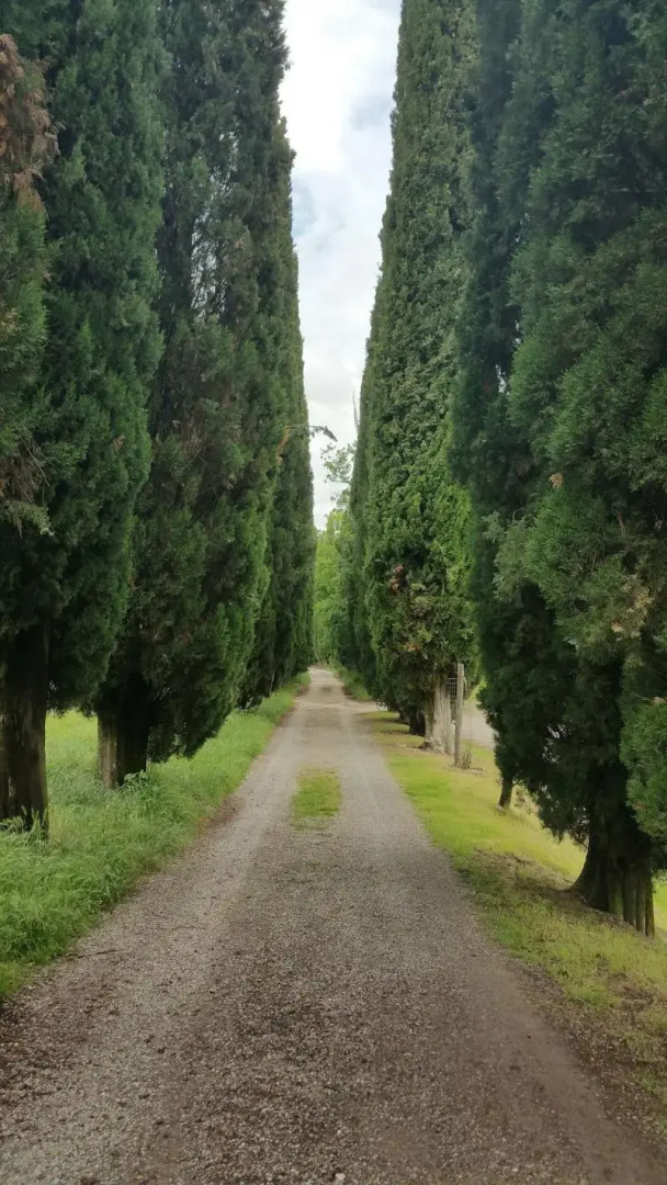 Hotel Ristorante Miramonti