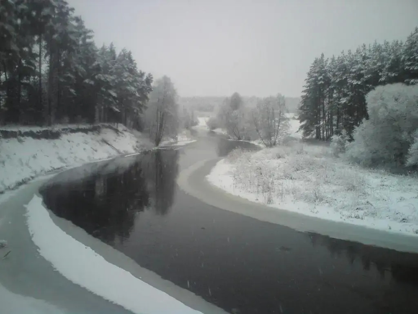 Anykščių raj. Žalioji Stotelė