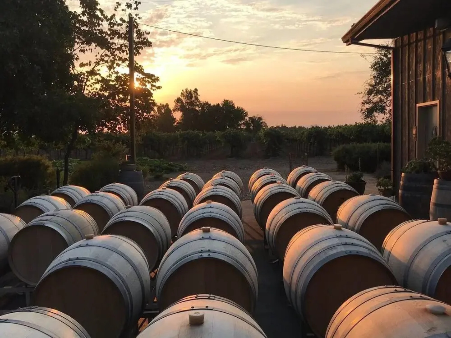 Tentrr - the Vineyard