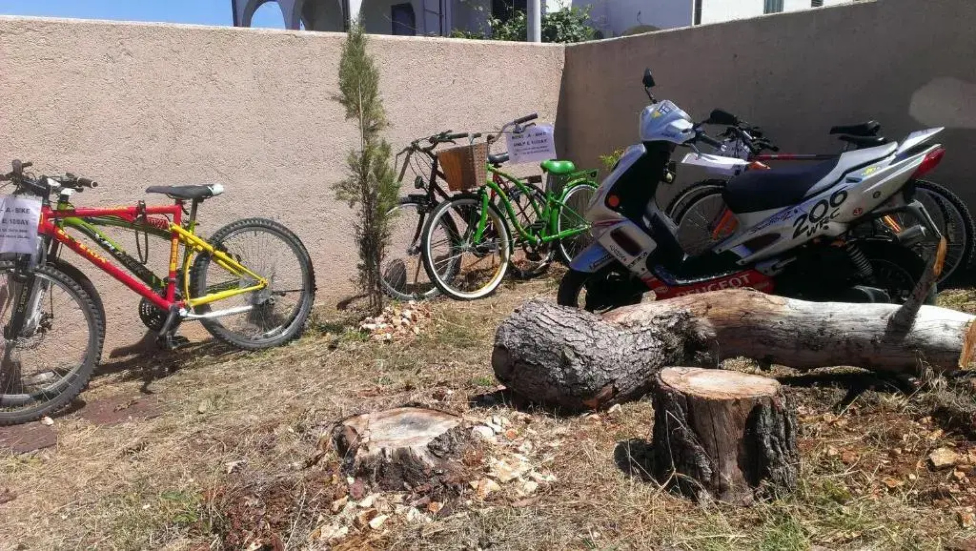 Apartments Vila Moli