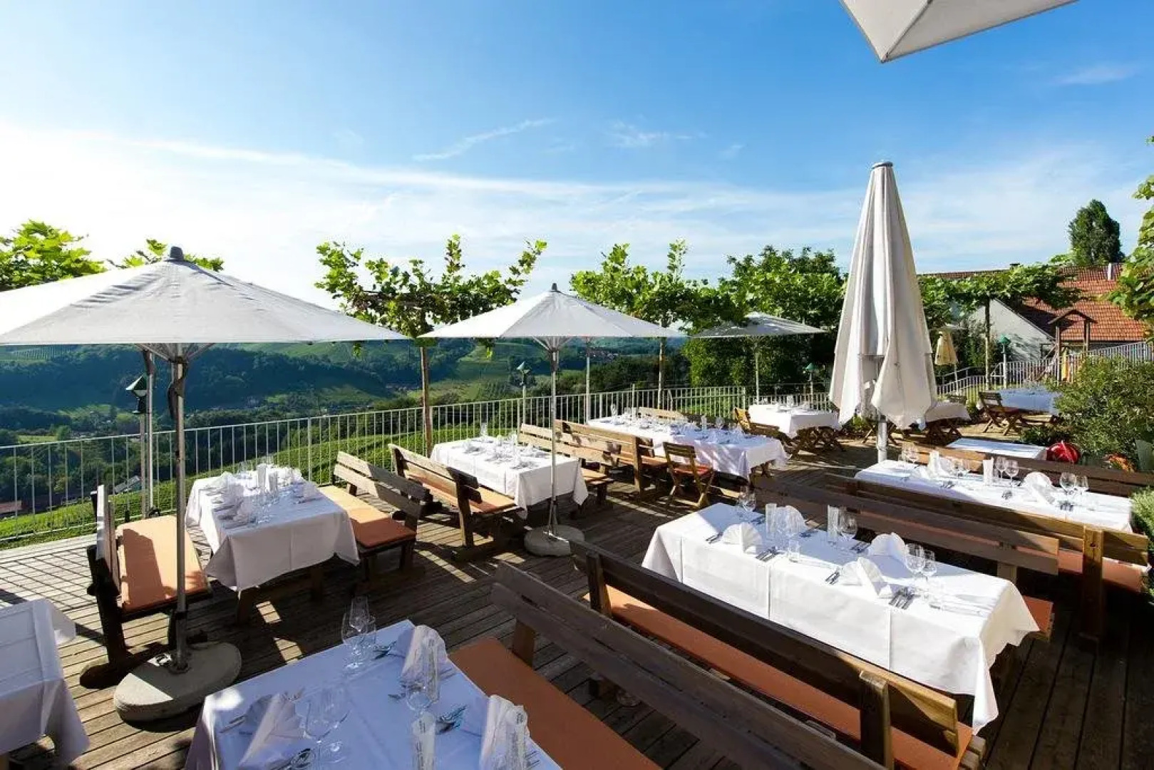 Weingut Skoff Original