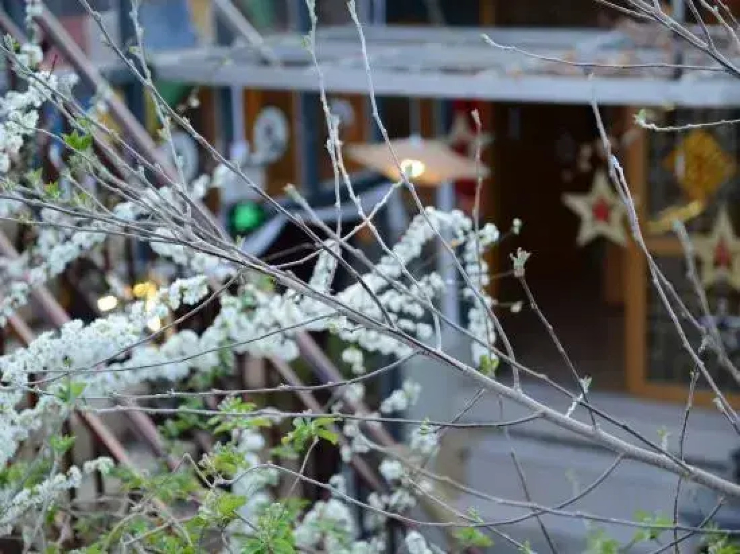 Yuanfang Family Courtyard Inn