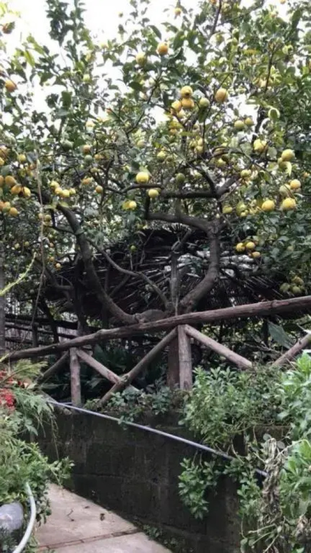 Rosy Monolocale nel Centro Storico di Torre Annunziata di Fronte Scavi Oplonti