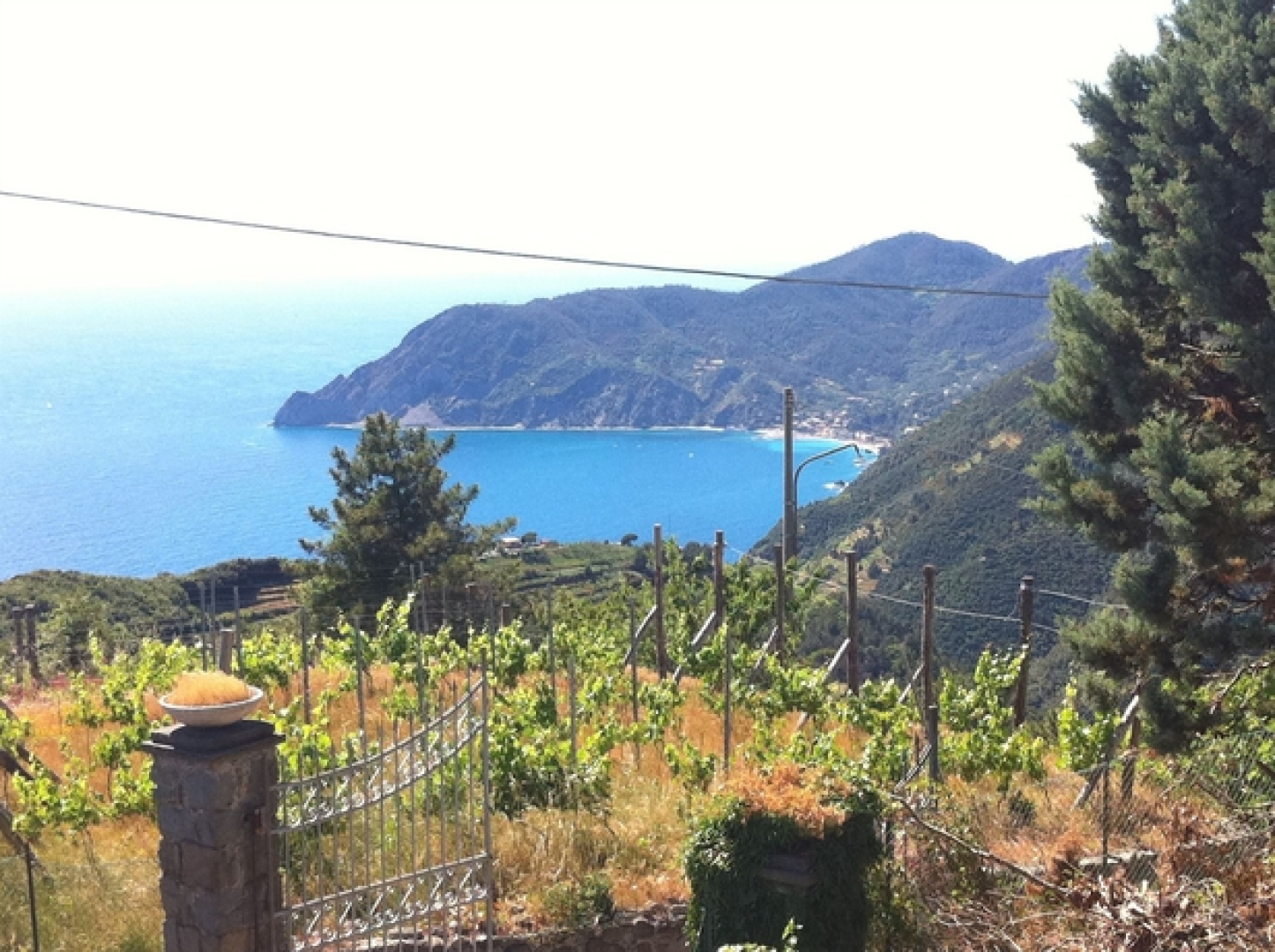 Villa Cinque Terre
