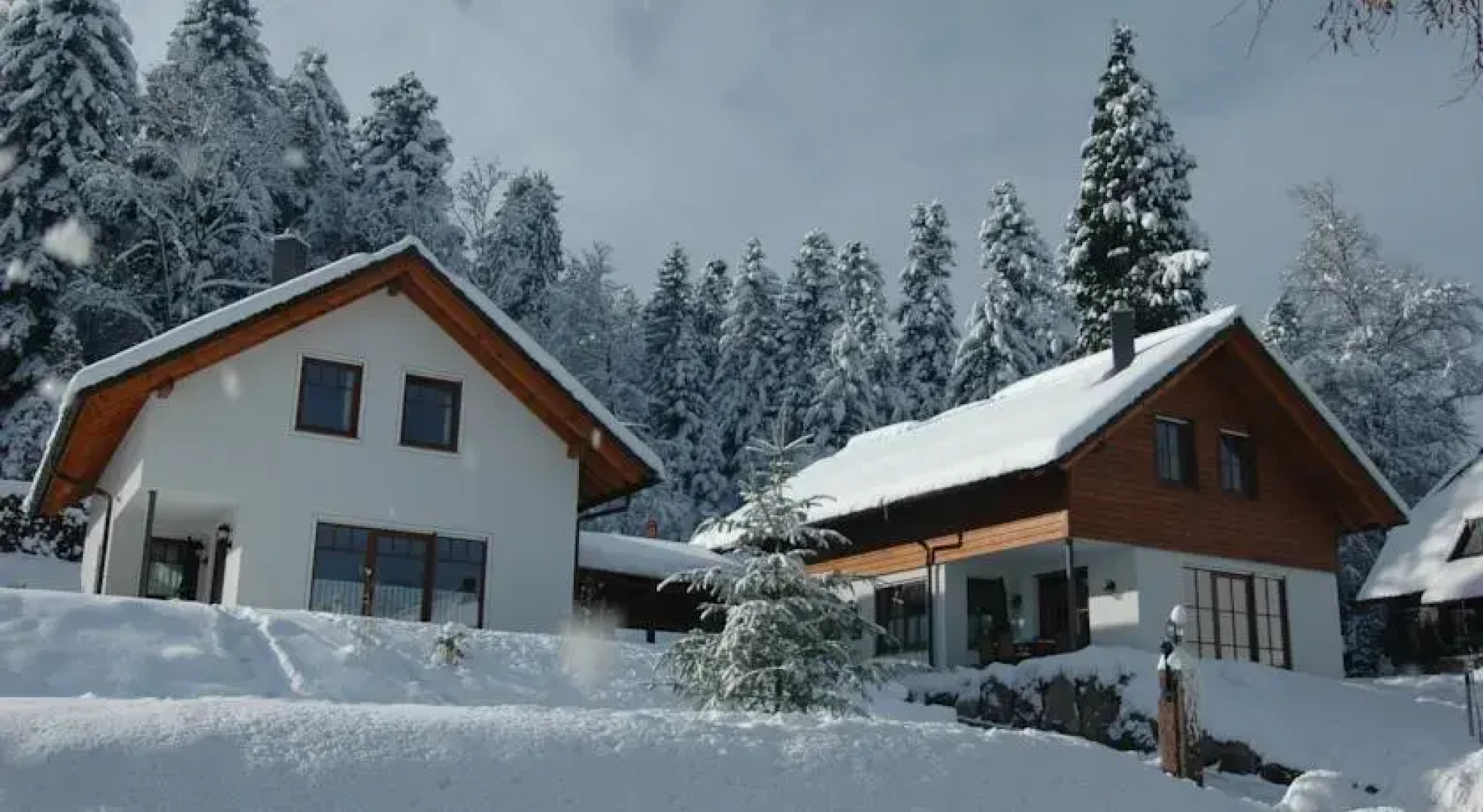 Schwarzwald Chalets