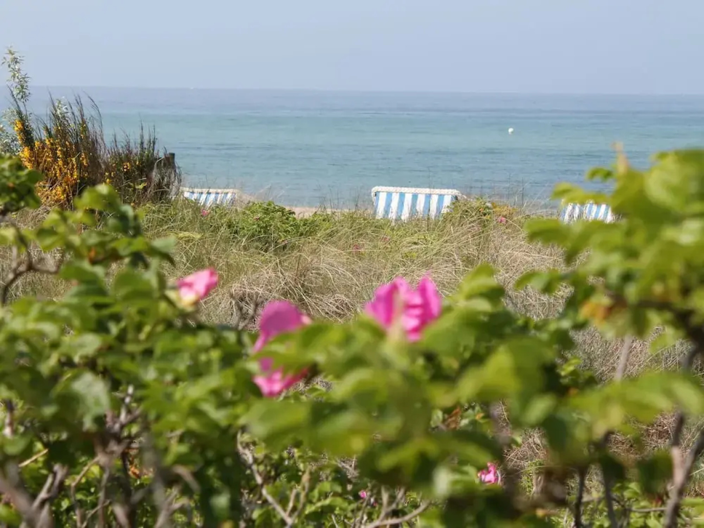 Ferienhaus vor den Toren der Insel Poel