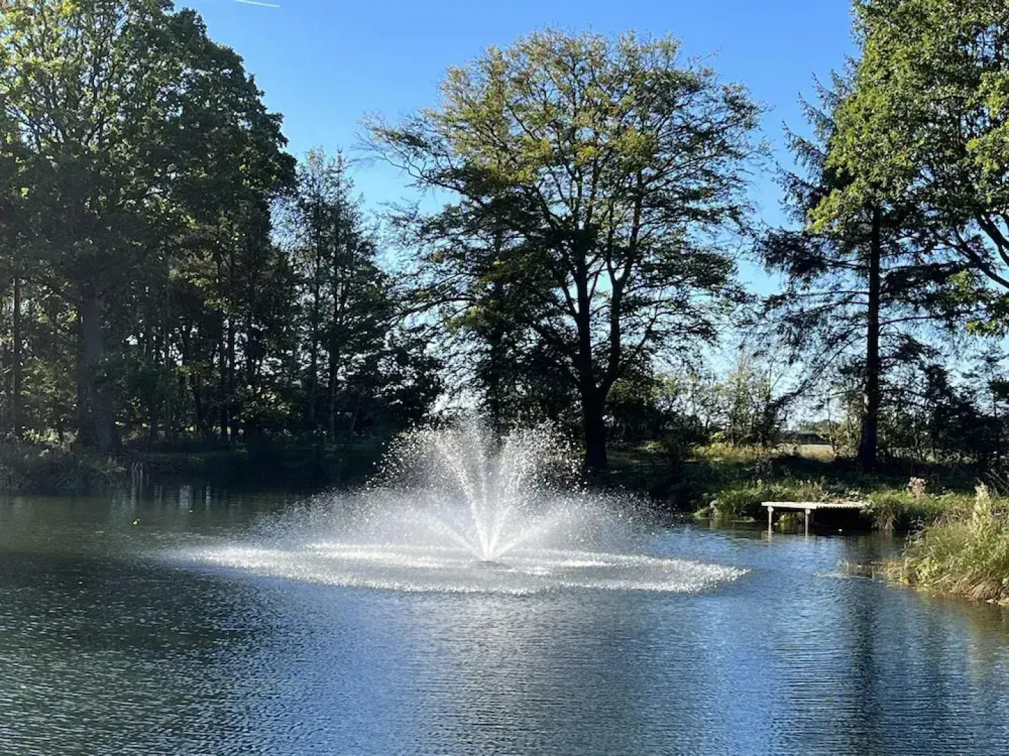 Cedar Boutique Lodge-dog, Fishing and Spa Access