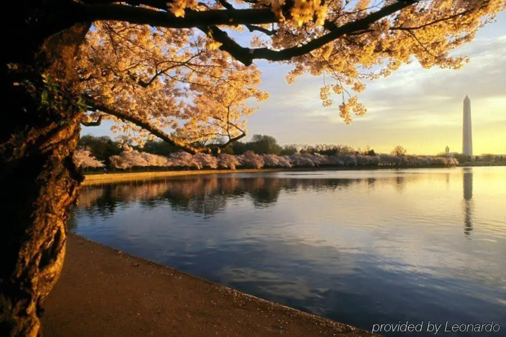 TownePlace Suites Gaithersburg by Marriott