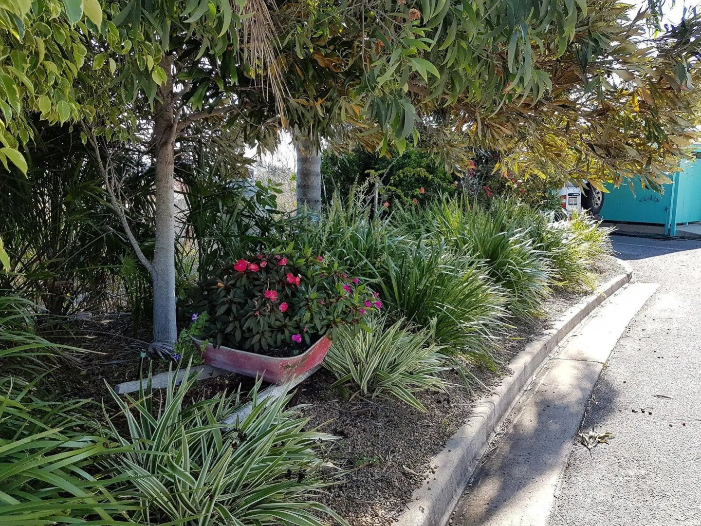 Reef Adventureland Motel