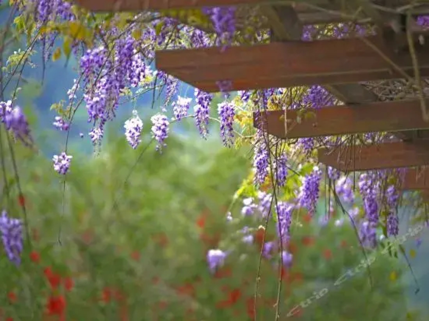 Wenxuan Garden Leisure & Conference Hotel