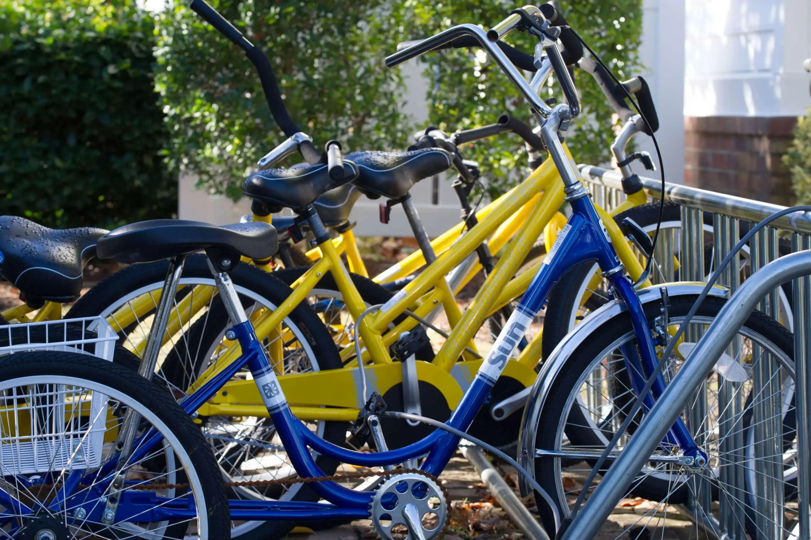 Ellington at Wachesaw East