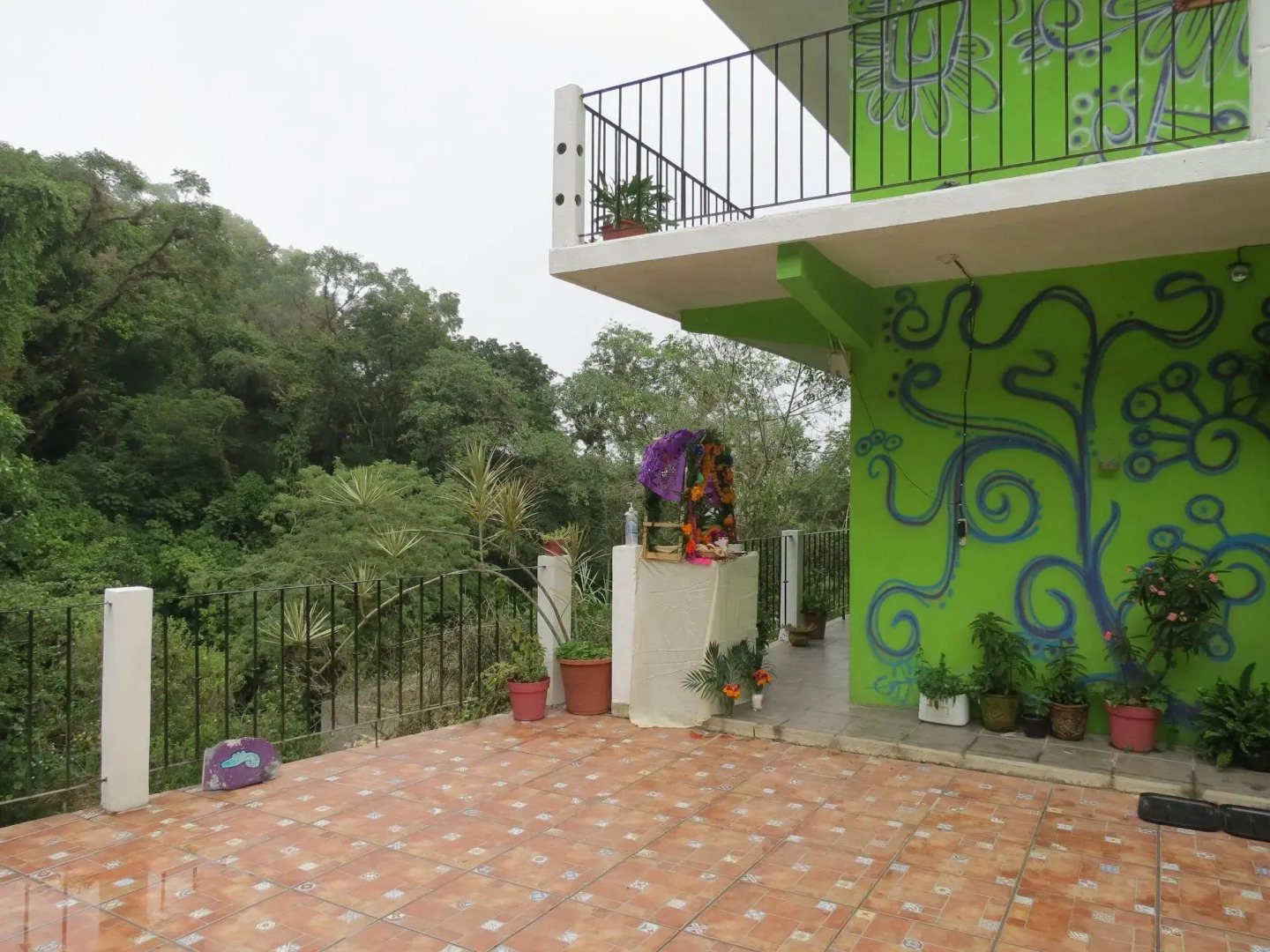 Casa Verde Xilitla by Rotamundos