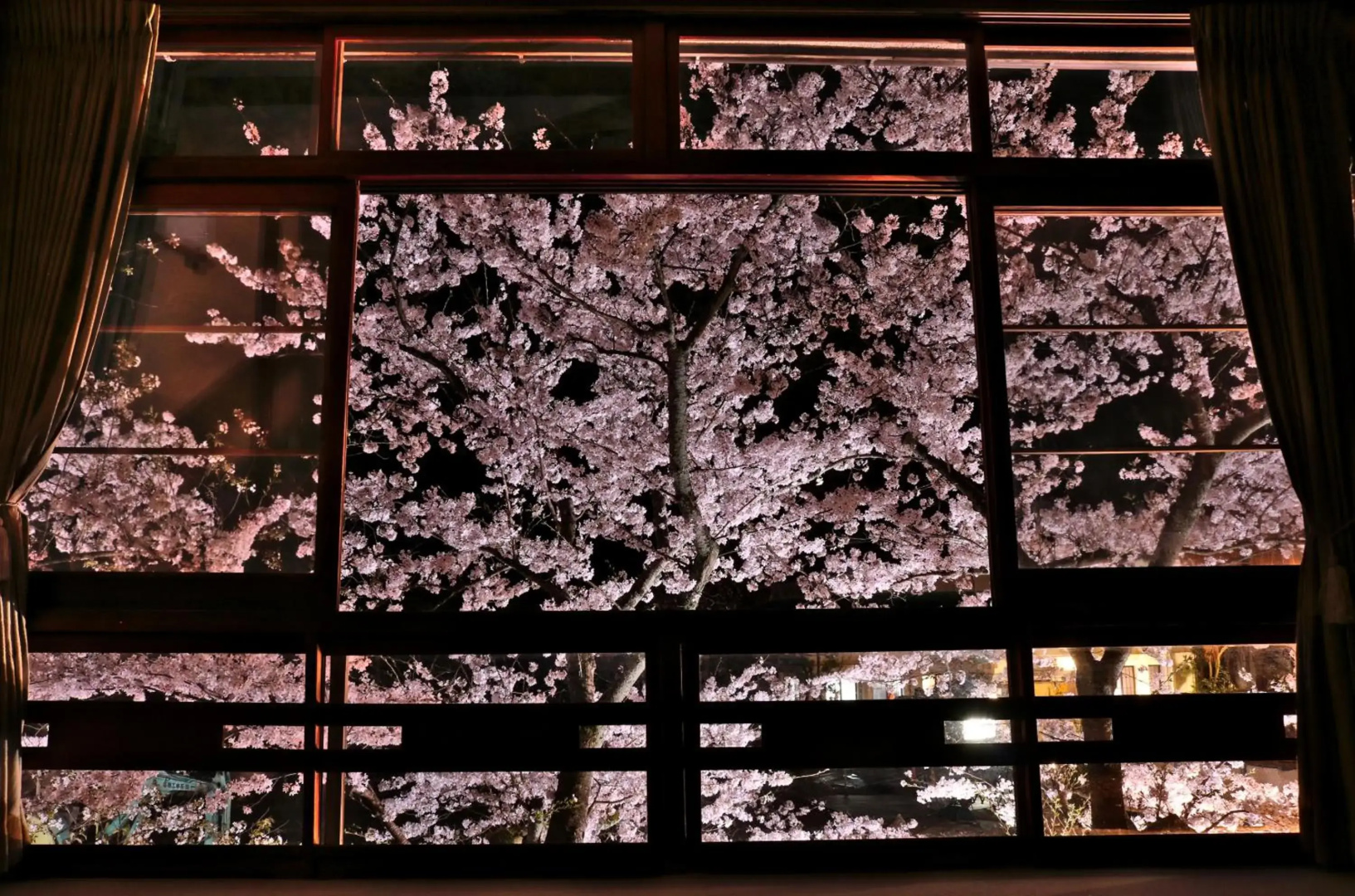 Tsutaya Ryokan