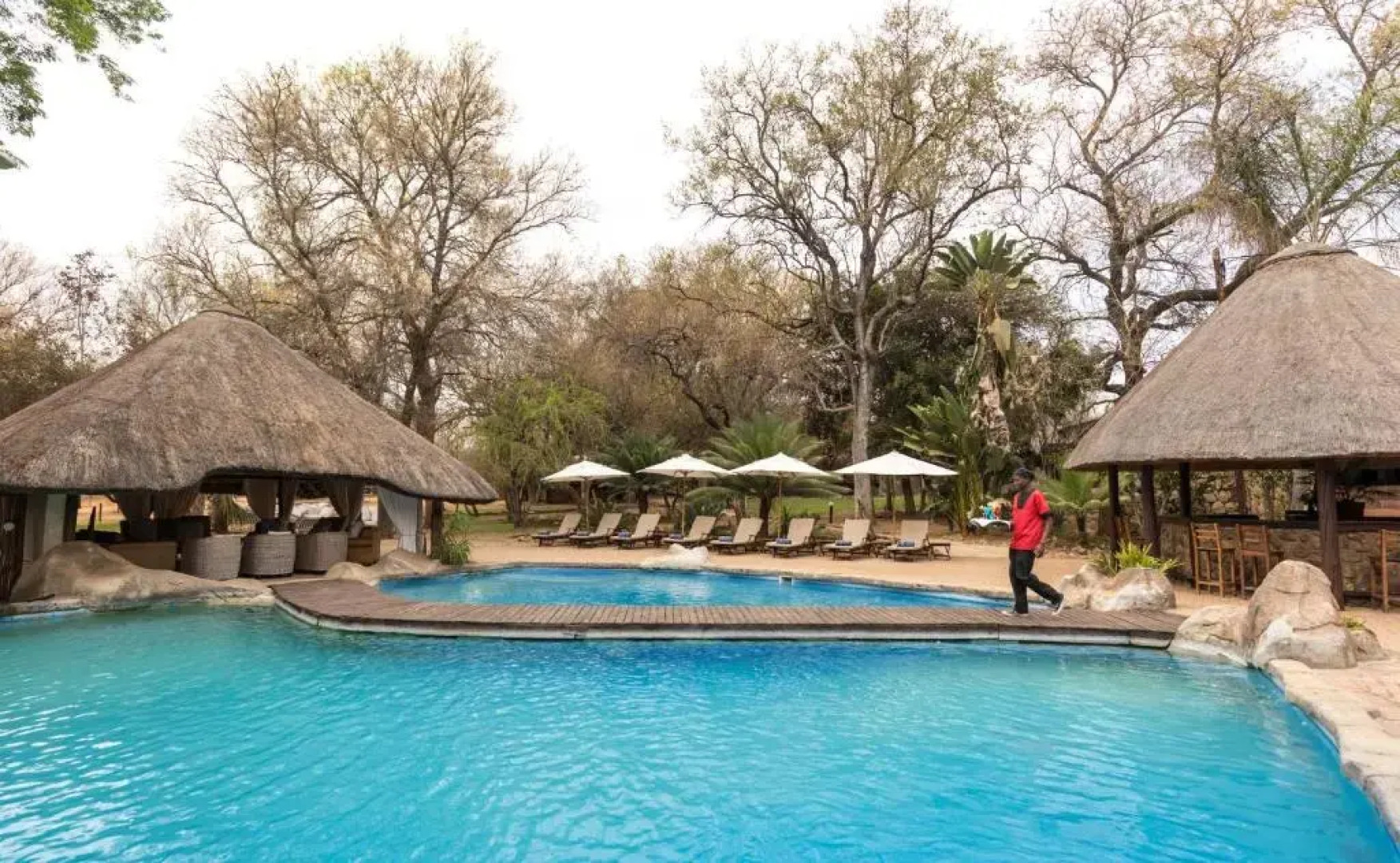 Karongwe- Shiduli Safari Lodge