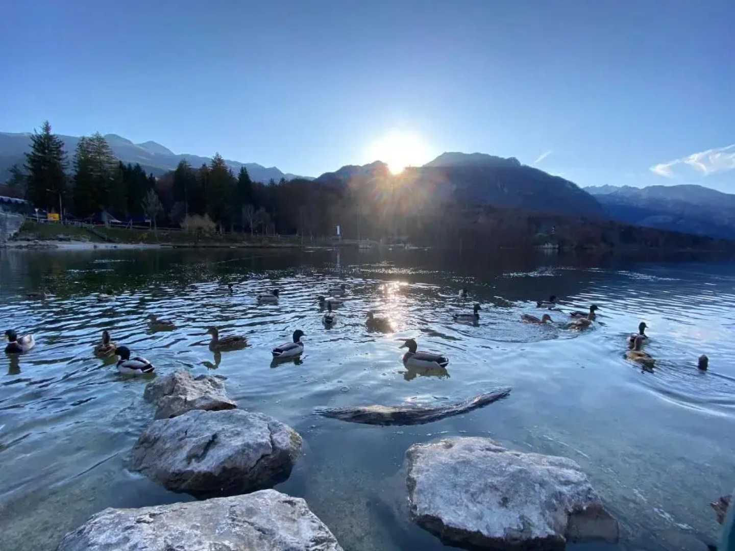 Domačija & Apartmaji Katrnjek