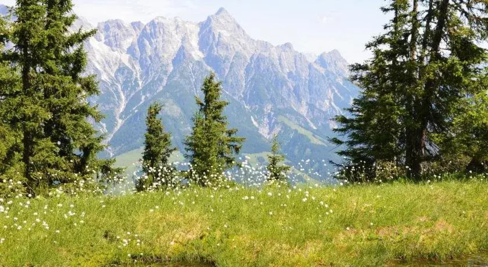 Familotel Wellness  Familienhotel Egger