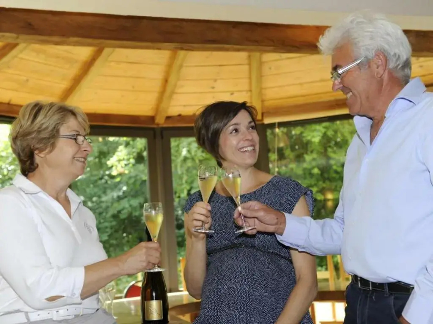 Gîte Bar-sur-Seine, 6 pièces, 14 personnes - FR-1-543-132