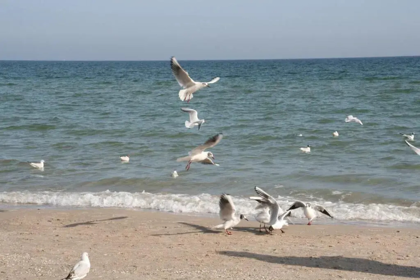 Landhotel Ostseetraum & Fewo