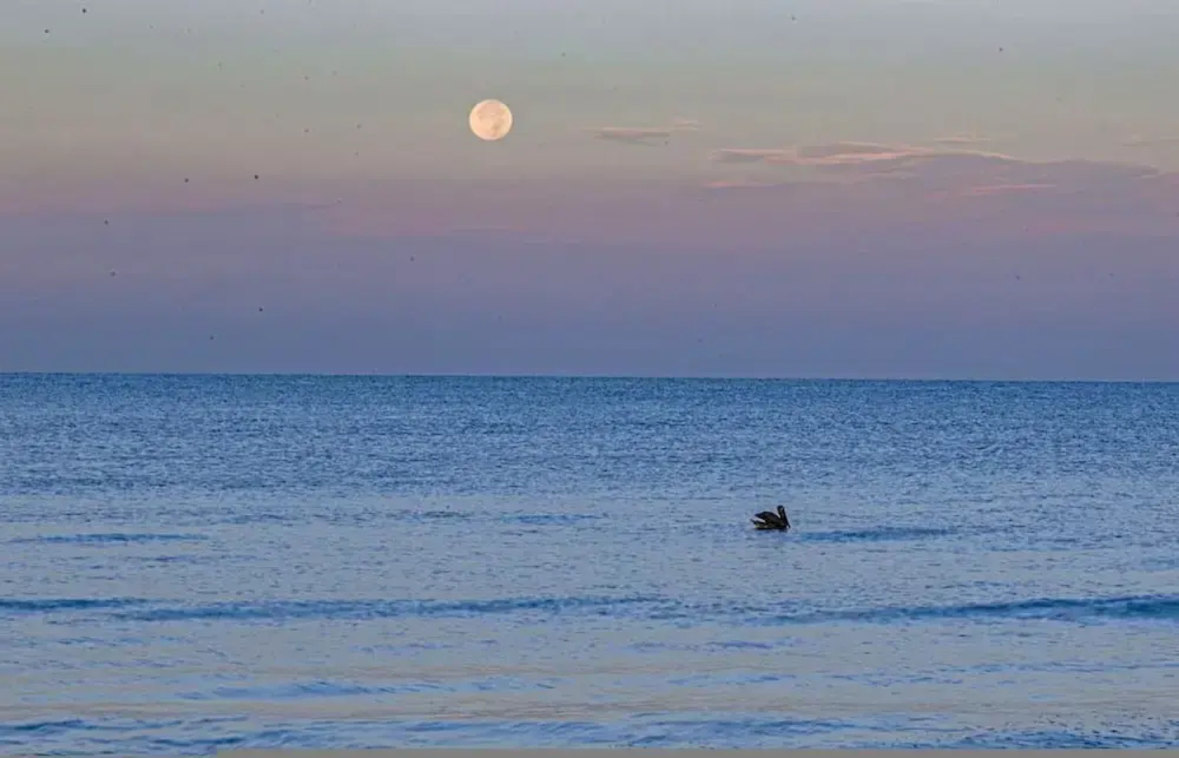 Villa Capri - Waterfront Retreat With Heated Pool