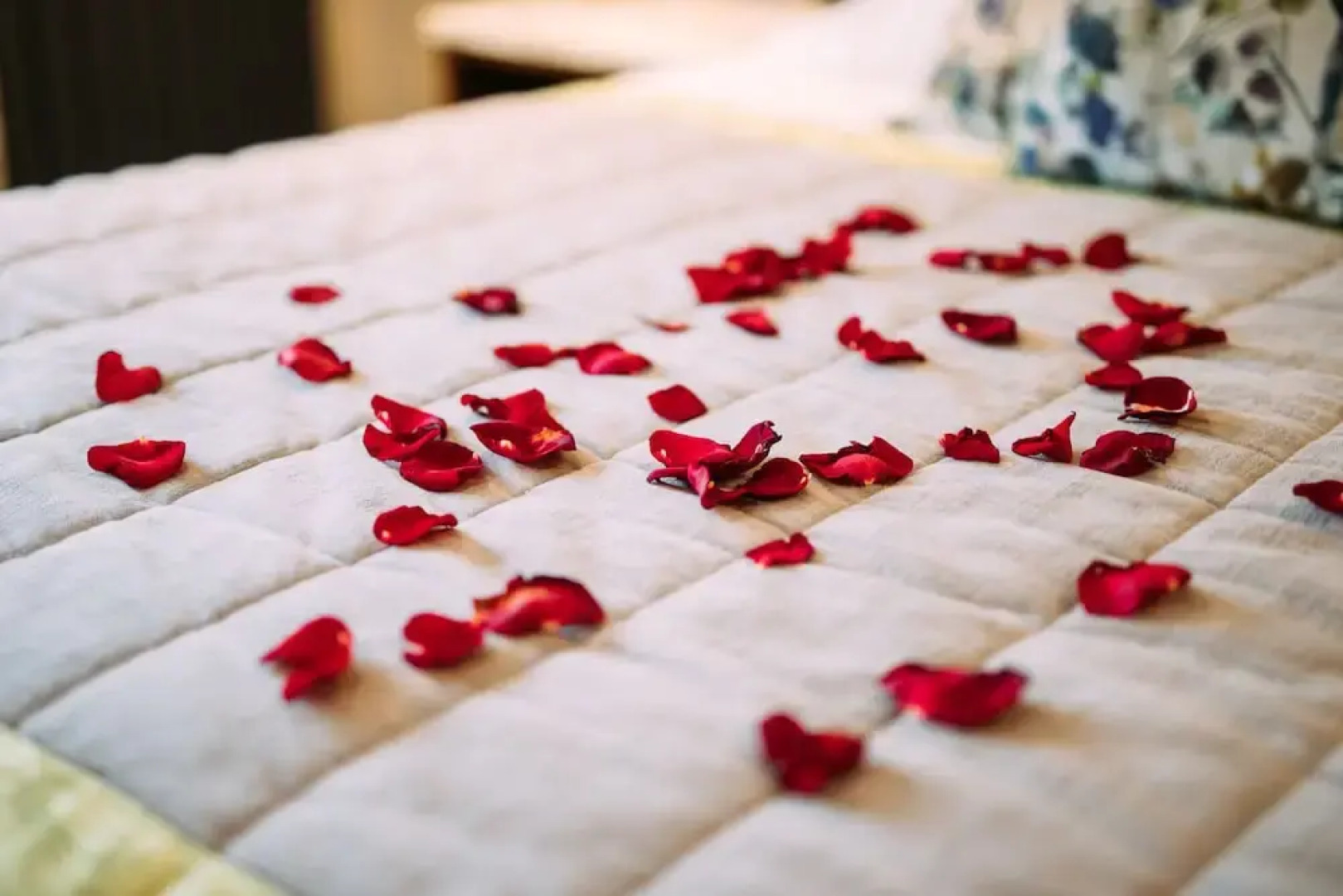 The Valley Hotel & Carriage Gardens