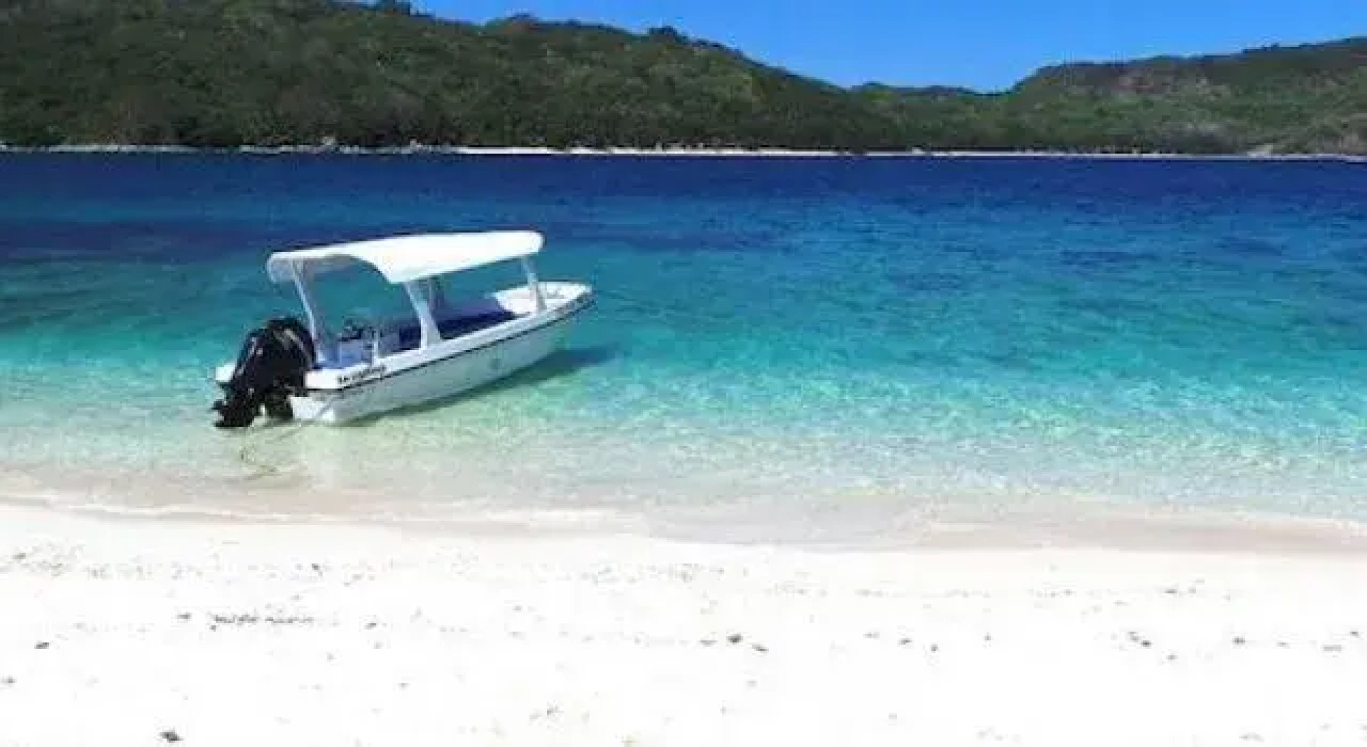 Pura Vida Inn & Tours