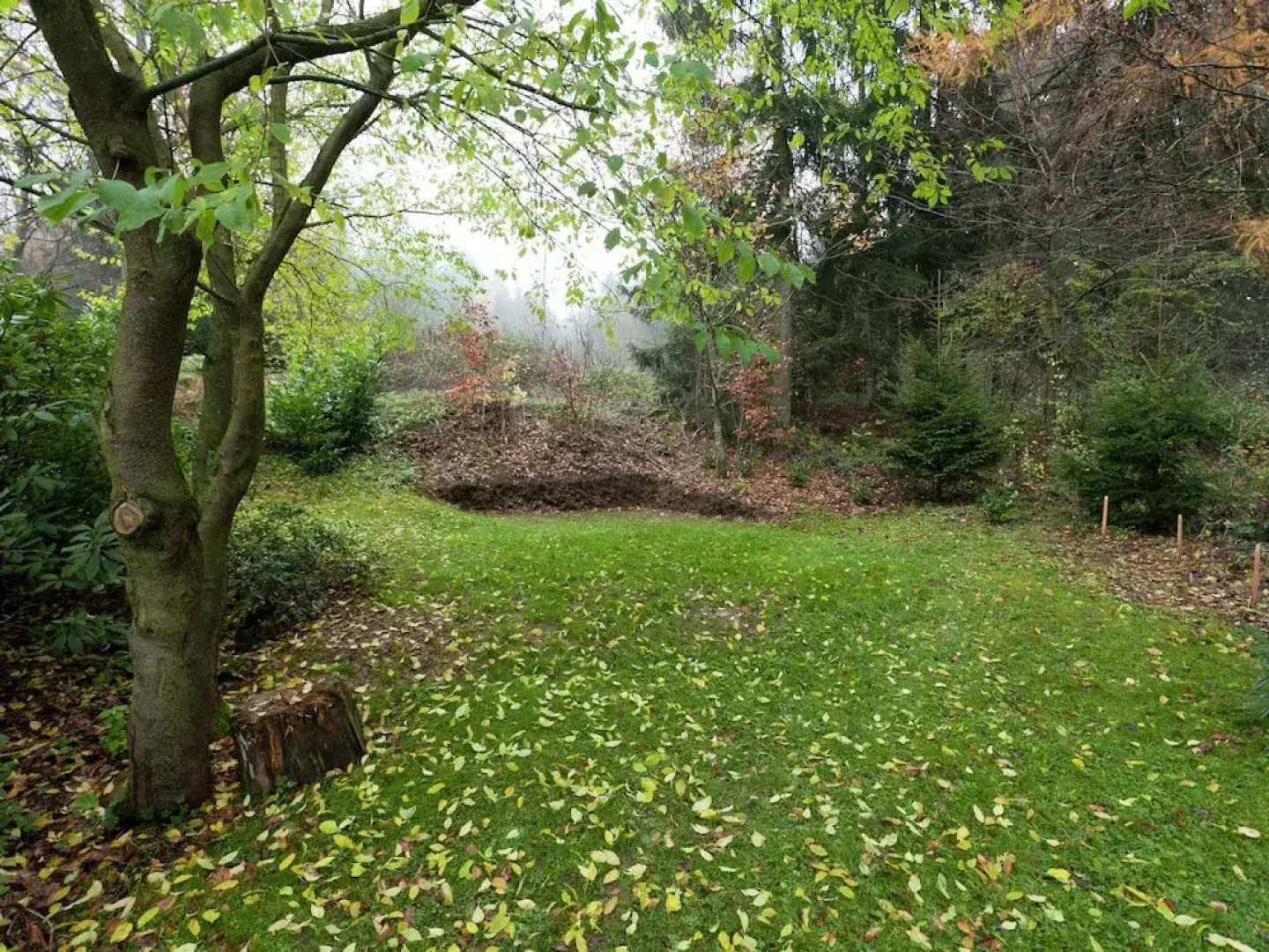 Apartment in Bad Grund Near Harz Park