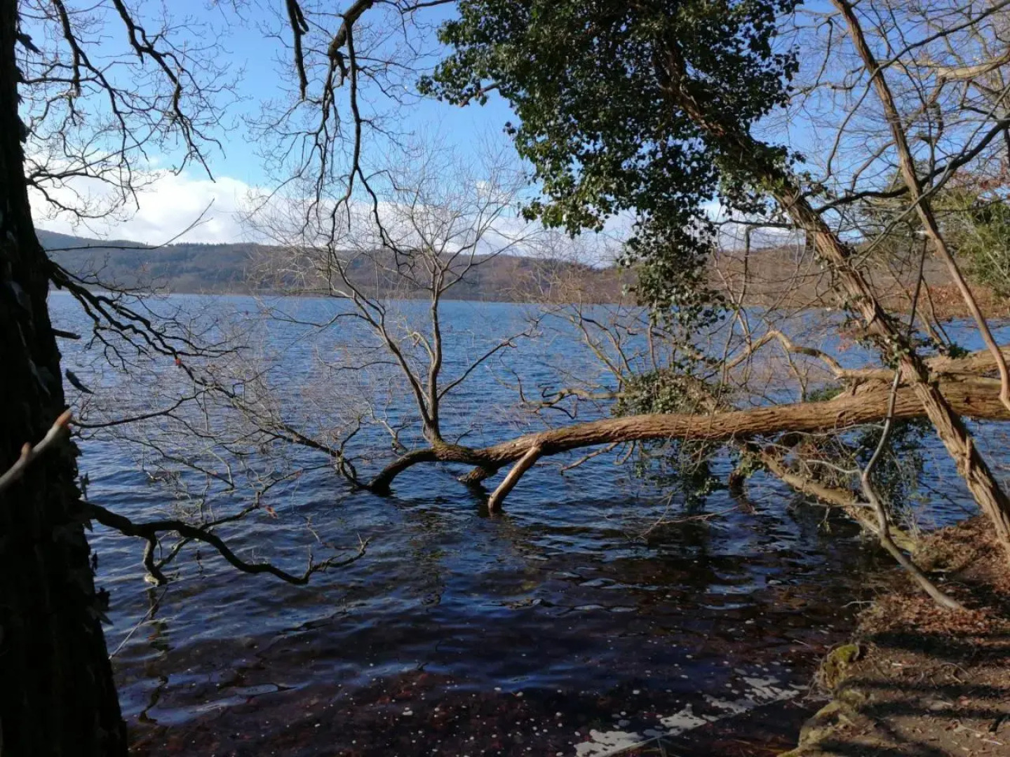 Ferienwohnung Maria Laach
