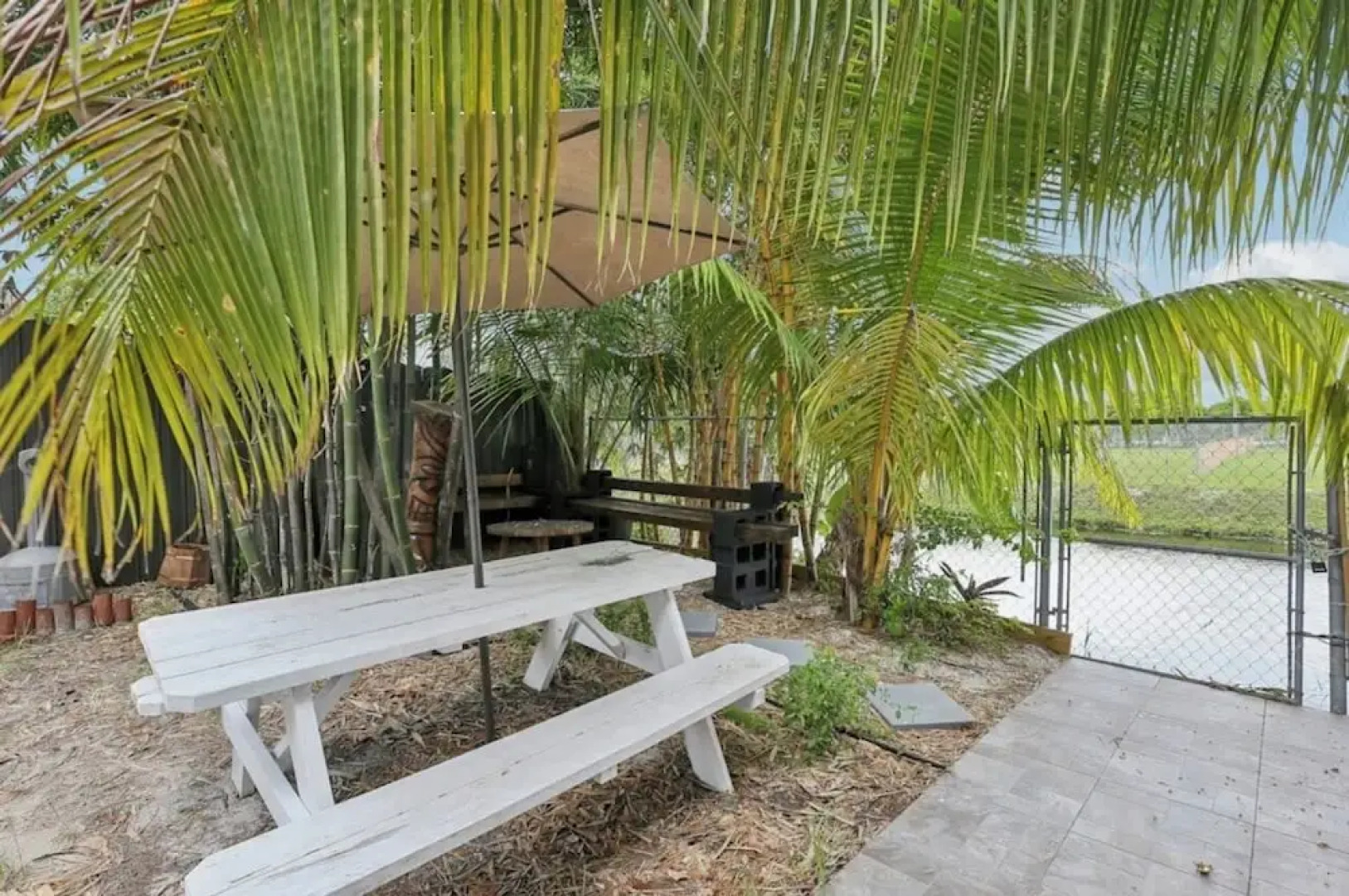 Tropical Miami Oasis