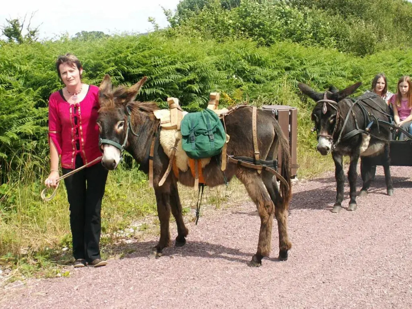 Ecuries Leseigneur - Gite