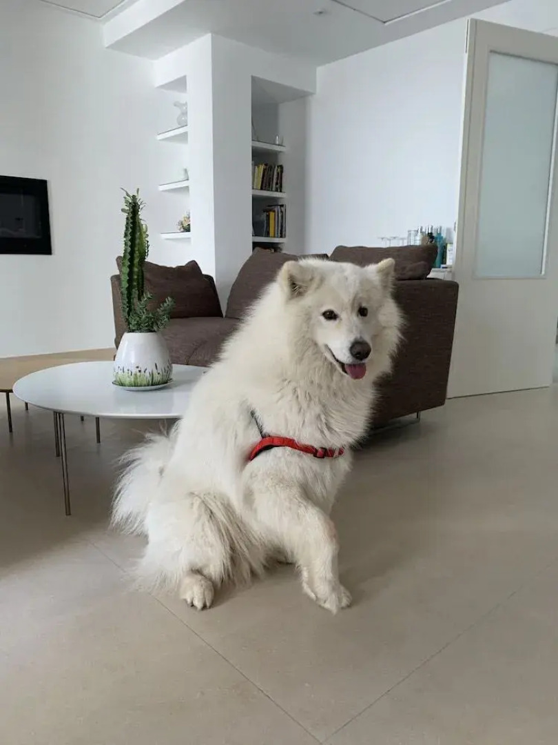 Rusticae Hotel Mardenit