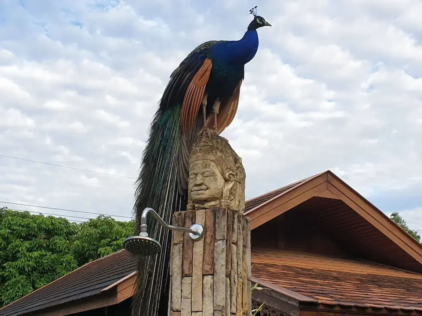 Viang Yonok Hotel Restaurant Sports Club