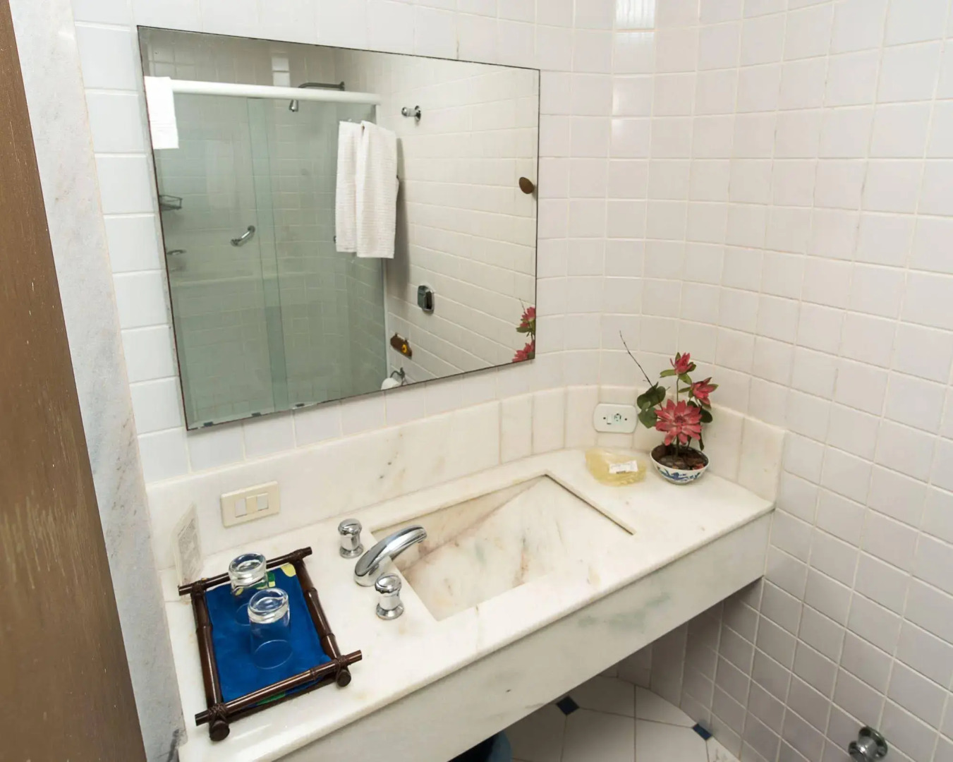 Bromelia Sabia & Cia