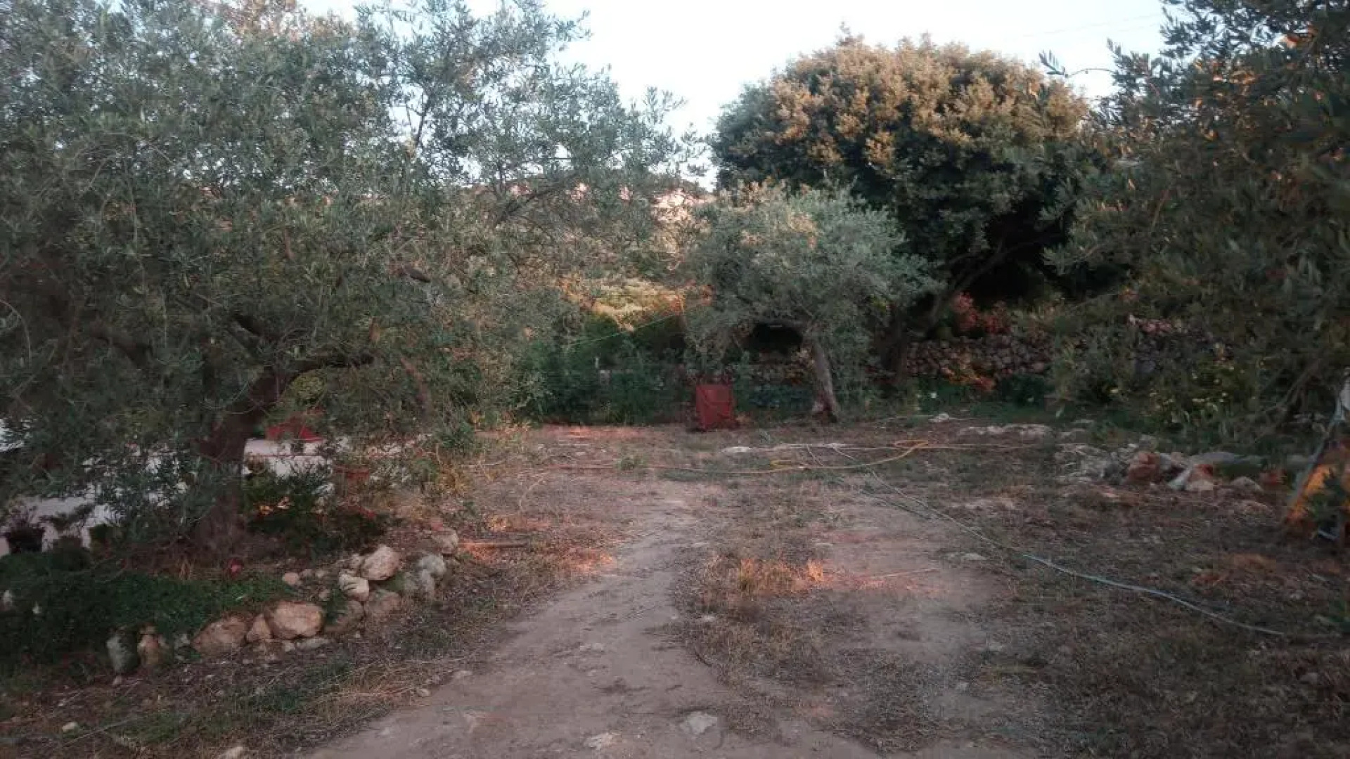 Residence degli ulivi