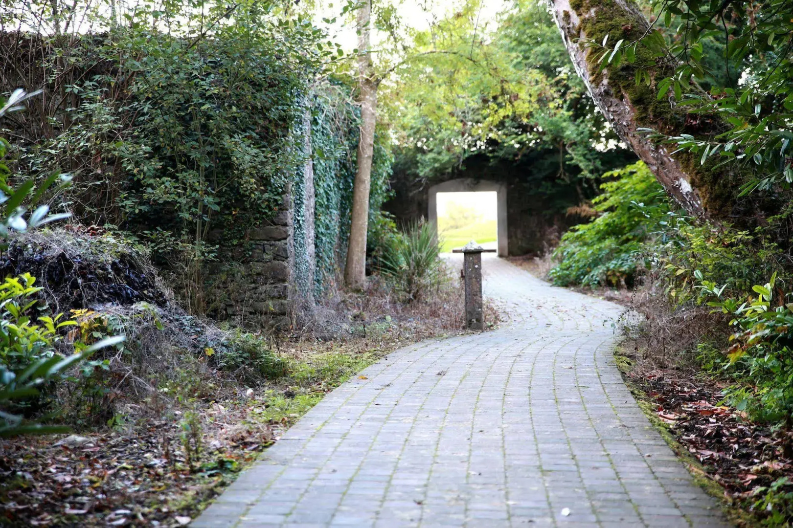 New Forest Golf Club