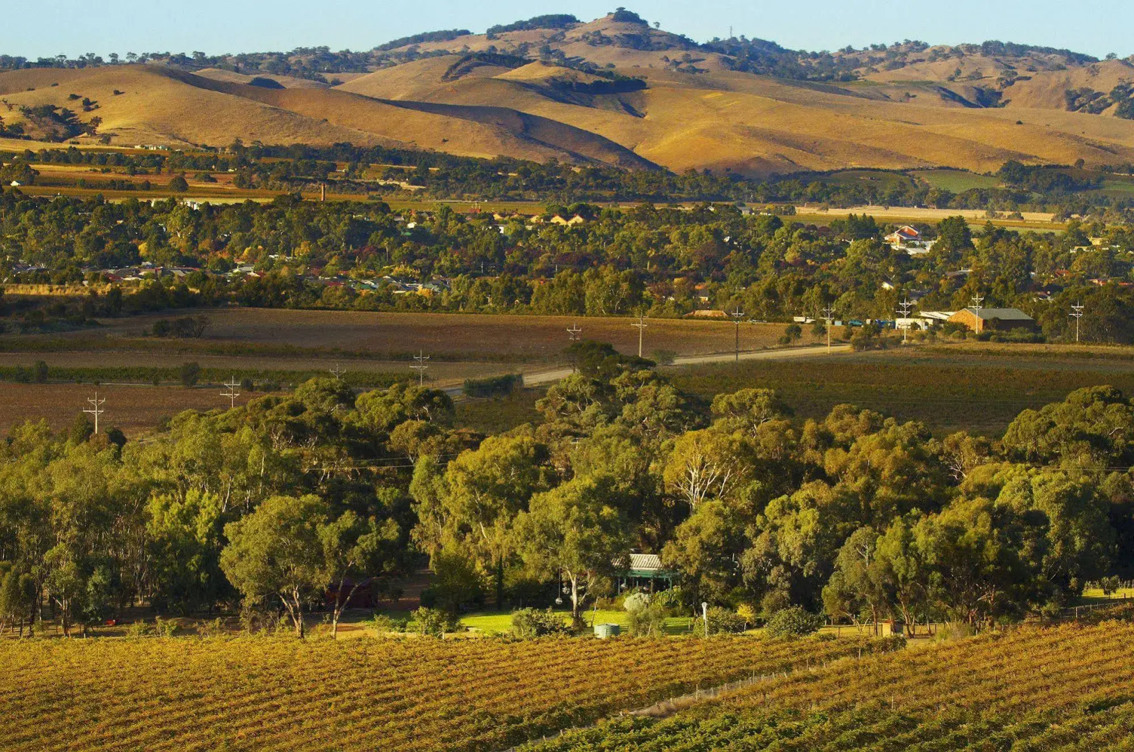 The Reserve Barossa Valley