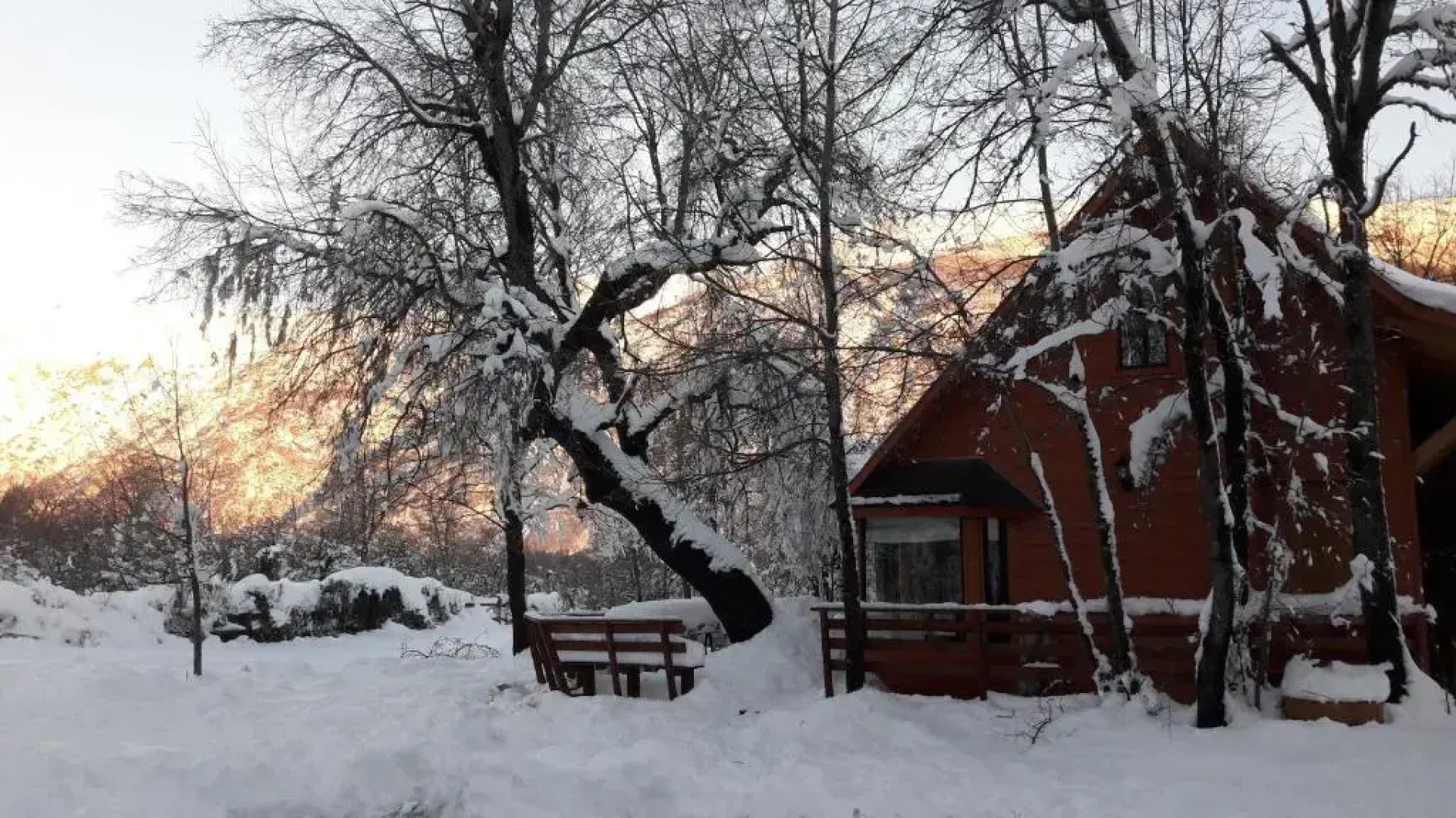 Cabañas Tronco Mayen