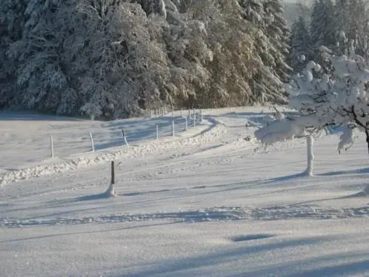 Ferienwohnung Hörger