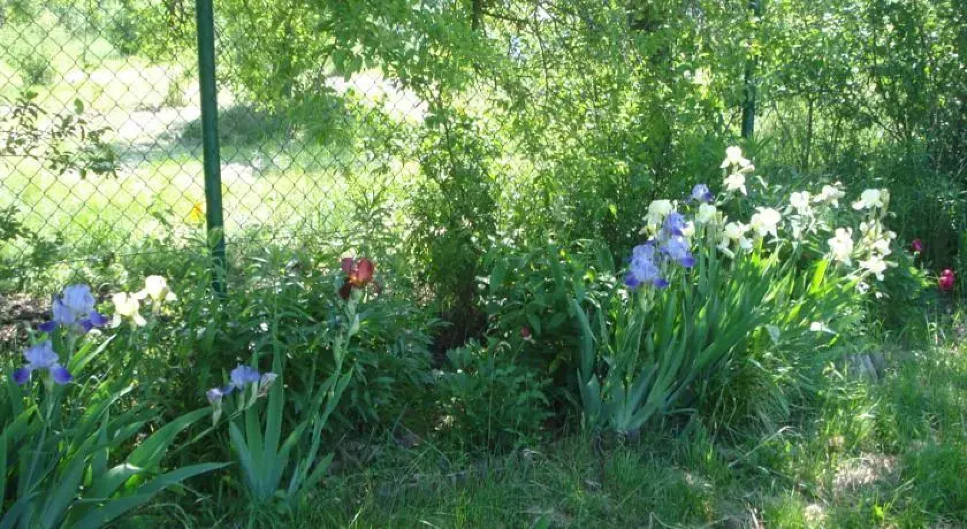 Pensjonat Willa Gold