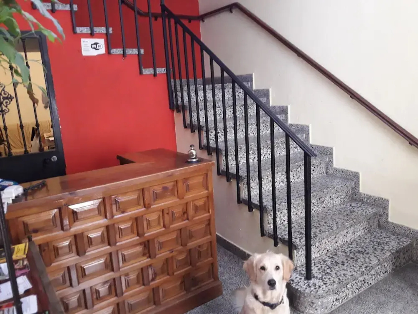 Pension Hostal Ronda Sol