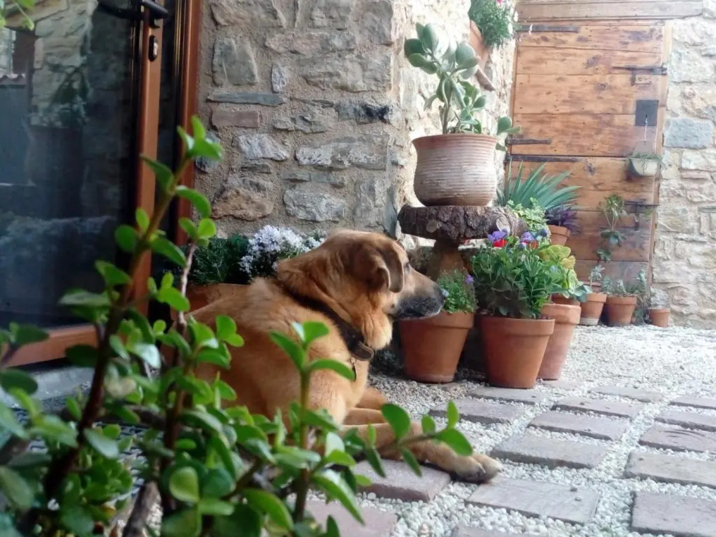 Hotel Font del Genil