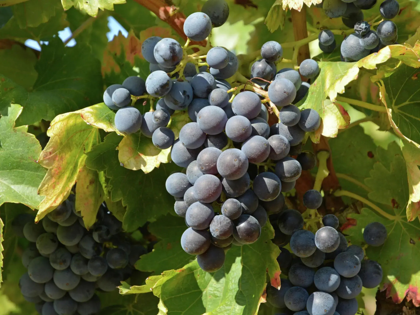 Secluded Apartment in Villesèque with Pool