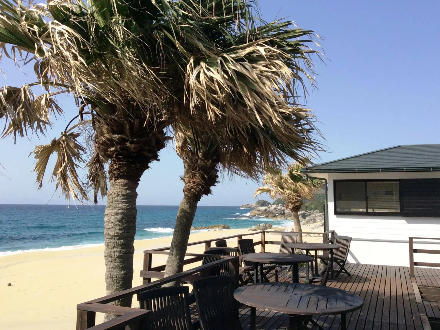 Marine Blue Yakushima
